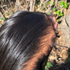 Synthetic frontal wig